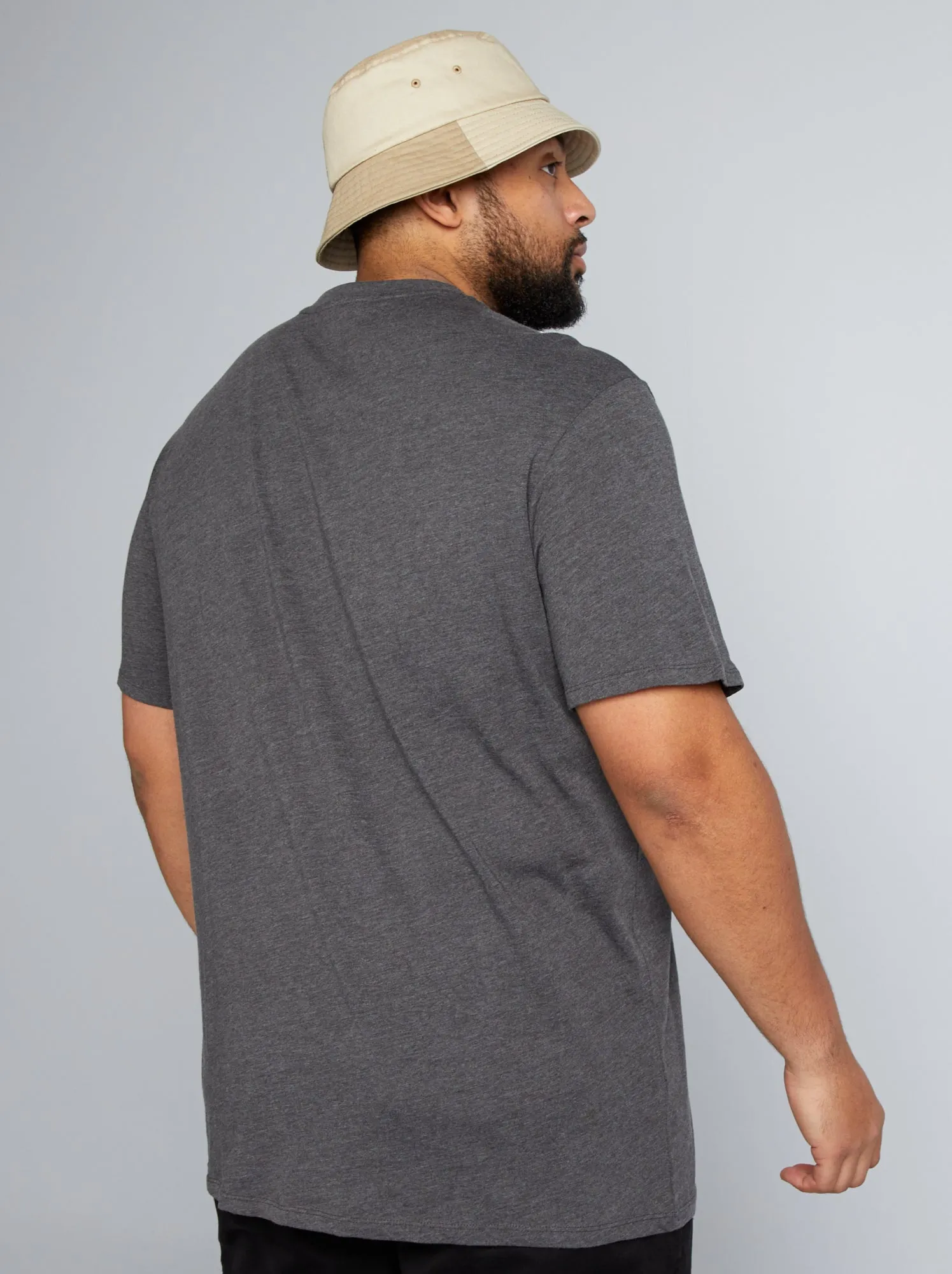 T-shirt puro cotone - GRIGIO