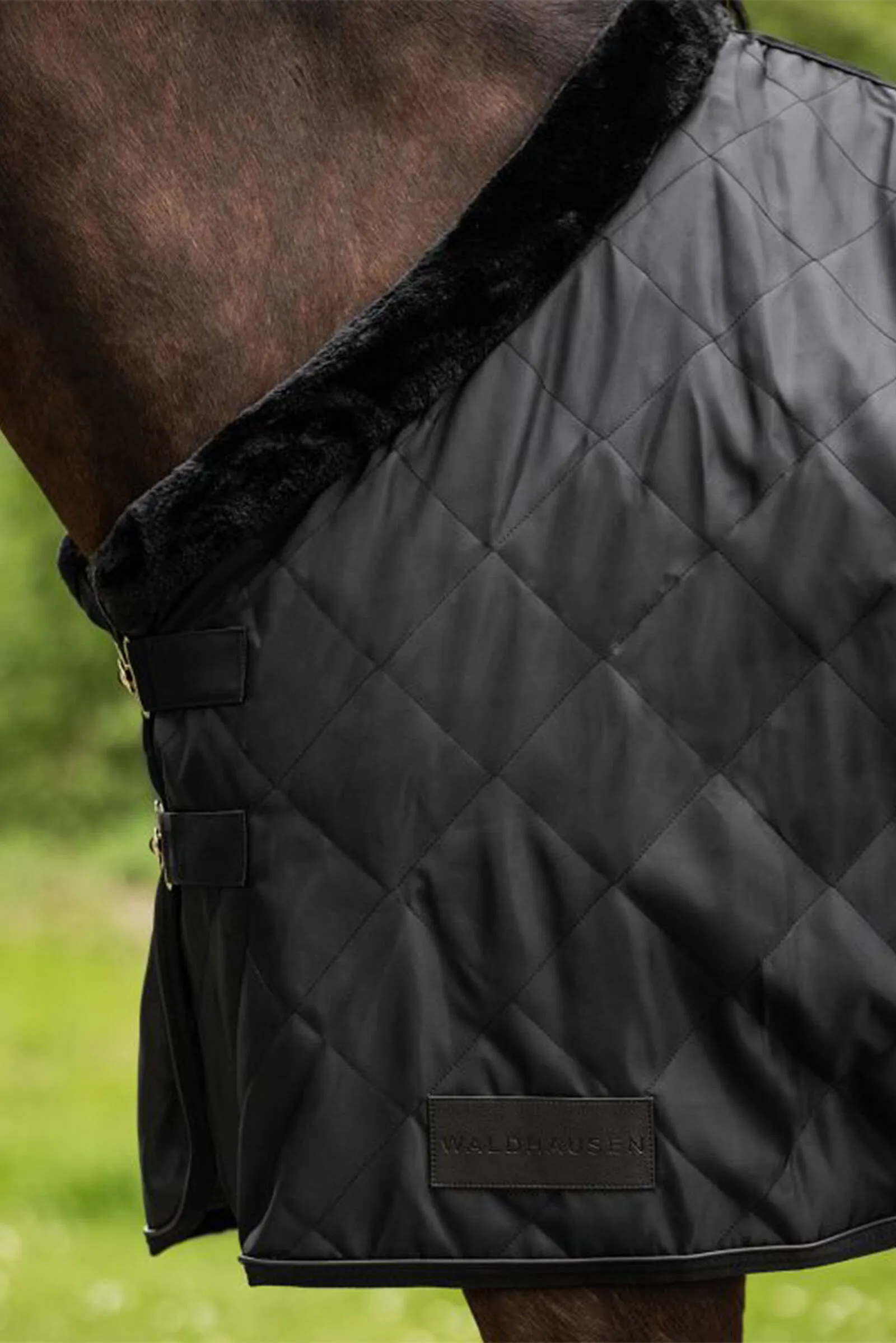 Waldhausen Exclusive Coperta da viaggio, 50g
